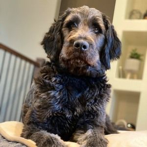 Meet your Posher, Steph